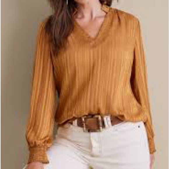 Soft Surroundings Jocelyn Blouse - Picture 2 of 7